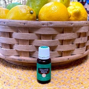 Young Living Eucalyptus Radiata Essential Oil 15 ml